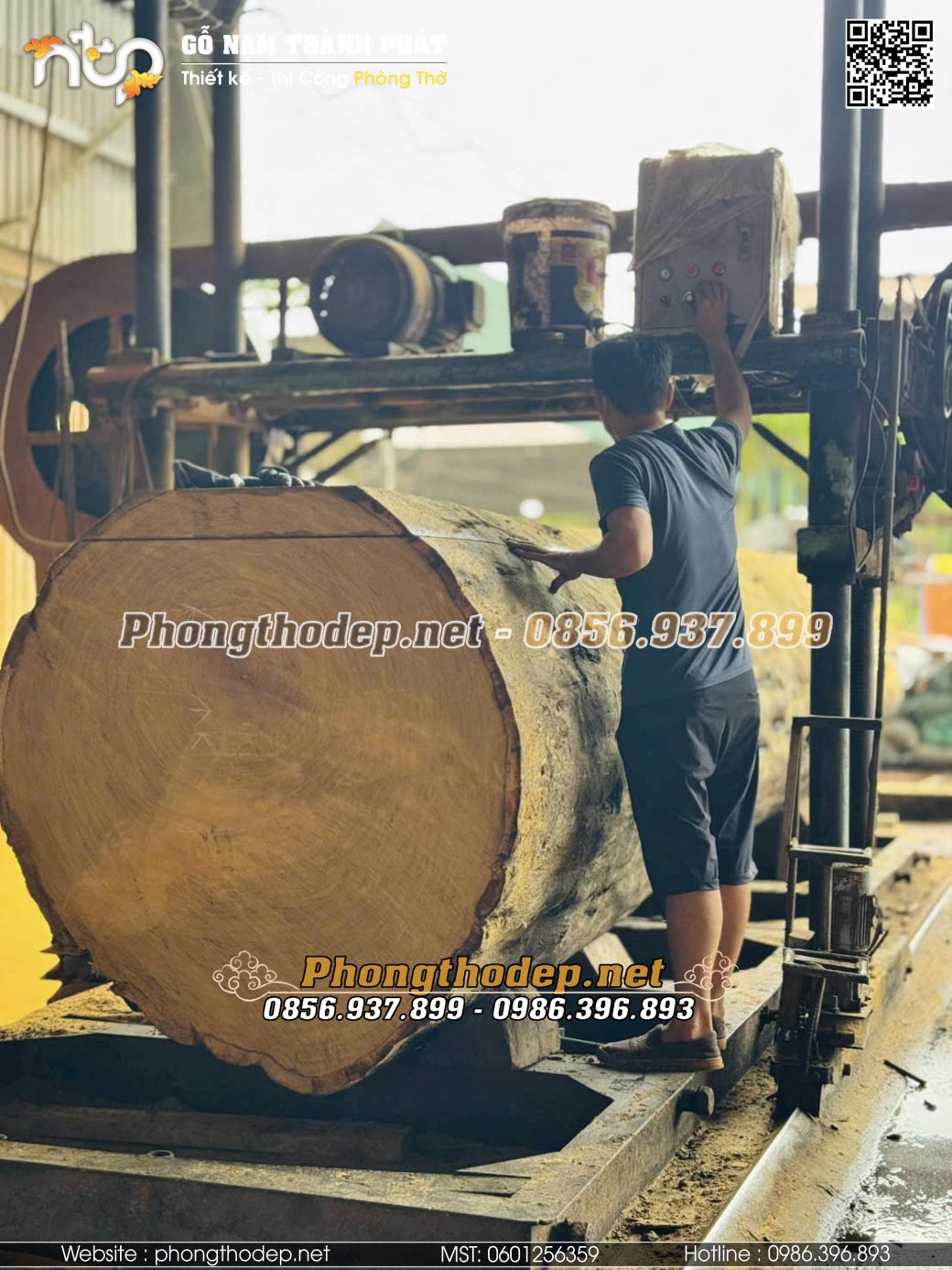 Lựa chọn và xẻ gỗ